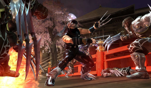 Ninja Gaiden II PC Game Download Full Size