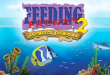 Feeding Frenzy 2 Shipwreck Showdown PC Game Download Full Version